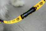 Zbliżenie na smycz ze współpracy InPost i SeaDog. Napis "Smycz w jedną, paczka w drugą" oraz gumowa metka z logo.