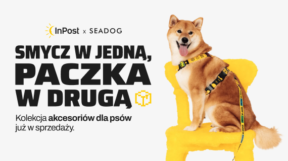 Pies siedzący na krześle w żółto-czarnych szelkach ze wzorami. Jest to nowa kolekcja psich akcesoriów we współpracy InPost i SeaDog. Kolekcja ma napis “Smycz w jedną, paczka w drugą”
